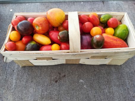 Verschiedene Tomaten im Korb