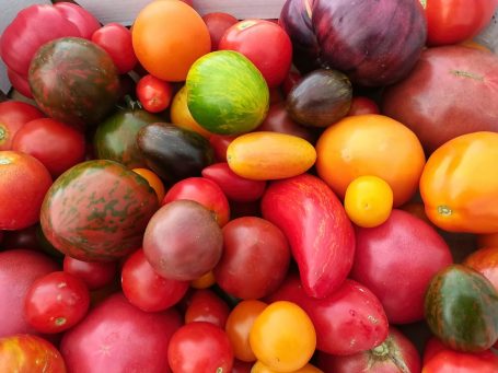 Verschiedene Tomaten
